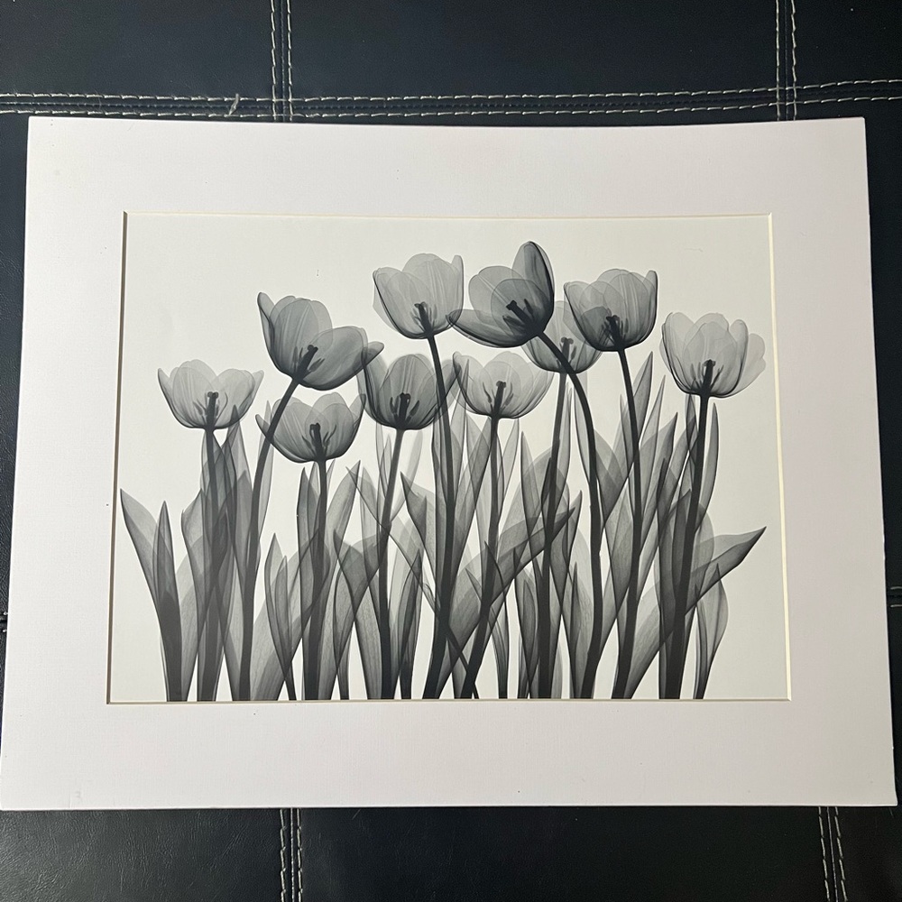 Black & White Flower Matted Print